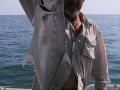 JeffGooding Queenfish